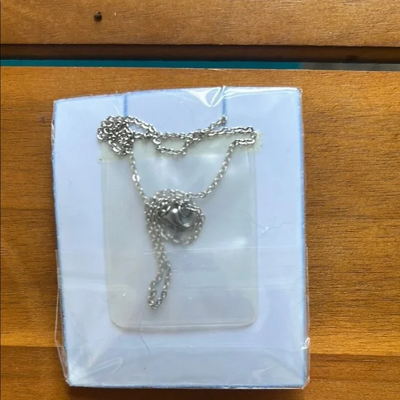 “Kelly” Silver-plated Name Necklace - Picture 3 of 3